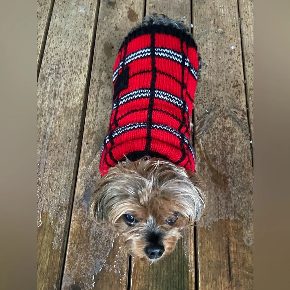Dog Sweater with Hood for Small Girl Dogs. Female Dog Winter Jacket/Coat NWOT
